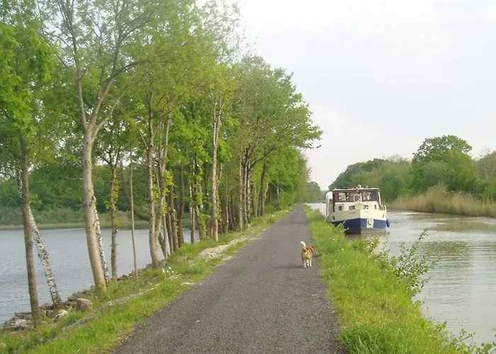 Houseboats At Marina By Kuhnle-tours
